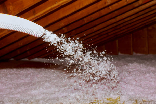 Best Insulation Removal  in Niwot, CO