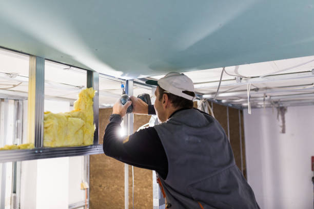 Best Attic Insulation Installation  in Niwot, CO