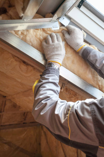 Best Residential Insulation Services  in Niwot, CO