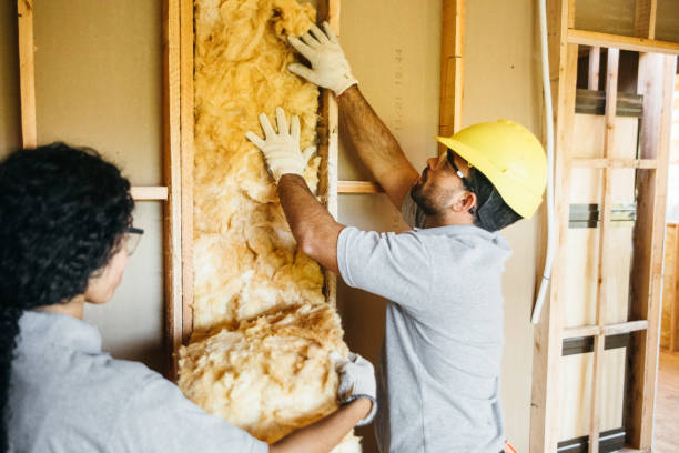 Best Insulation Contractors for Homes  in Niwot, CO