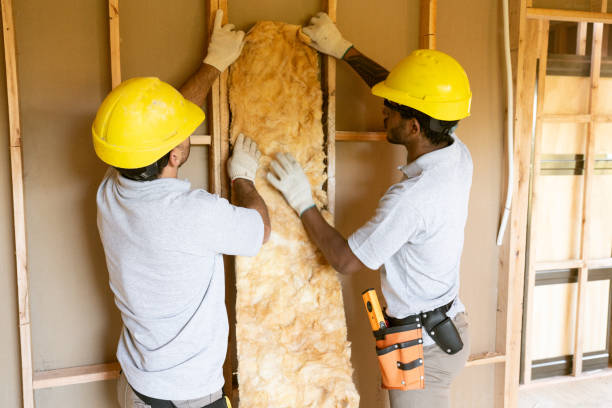 Best Fiberglass Insulation  in Niwot, CO