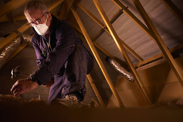 Attic Insulation Near Me in Niwot, CO